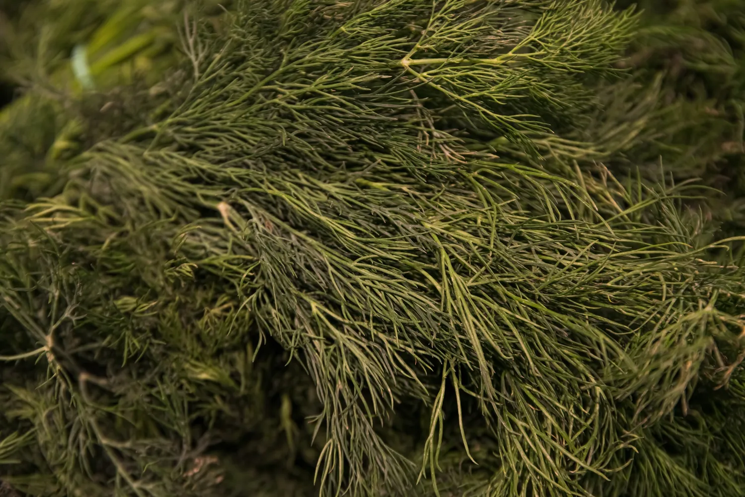 Shutterstock 2288123891