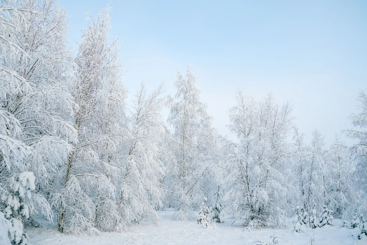 Artimiausiomis naktimis – pūgos, lijundra ir iki 22 laipsnių šalčio