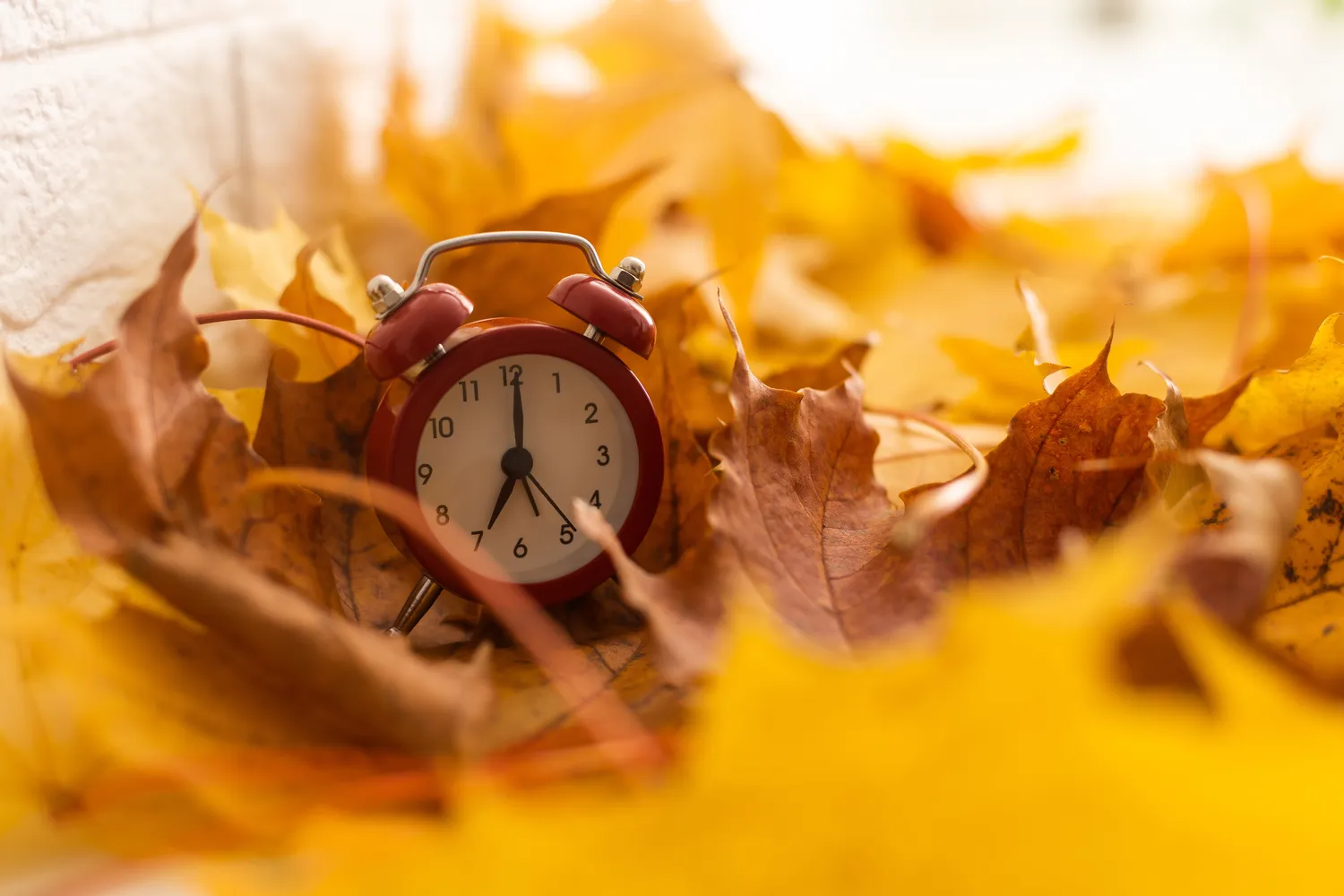 Pereiname prie žiemos laiko