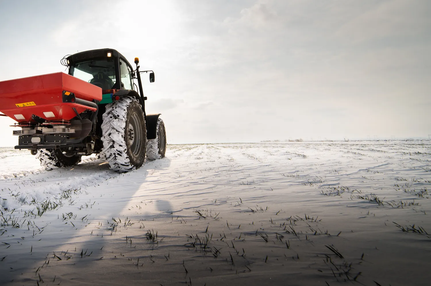 Sėklų sėjimas žiemą