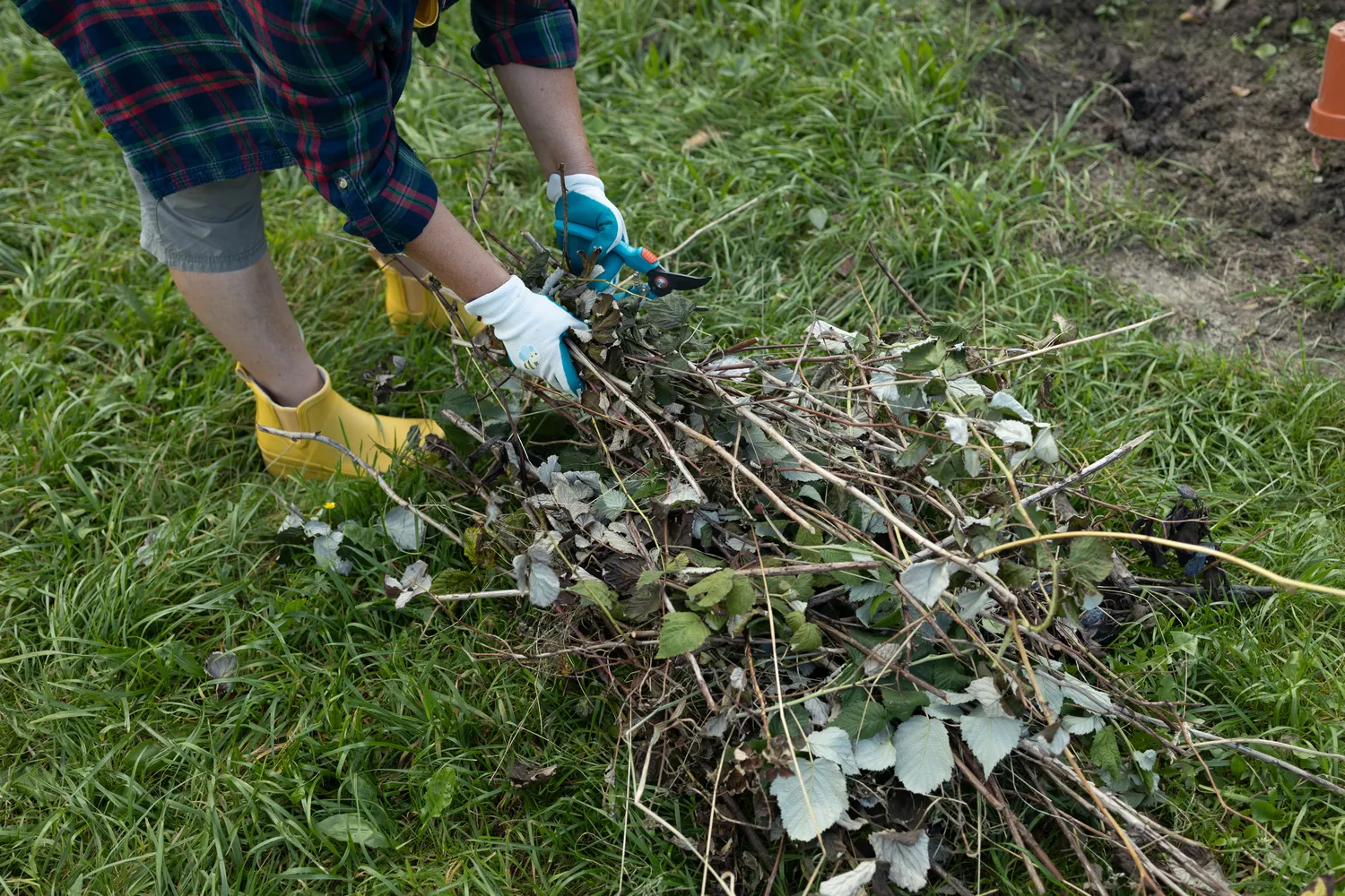 Sodo priežiūra prieš žiemą