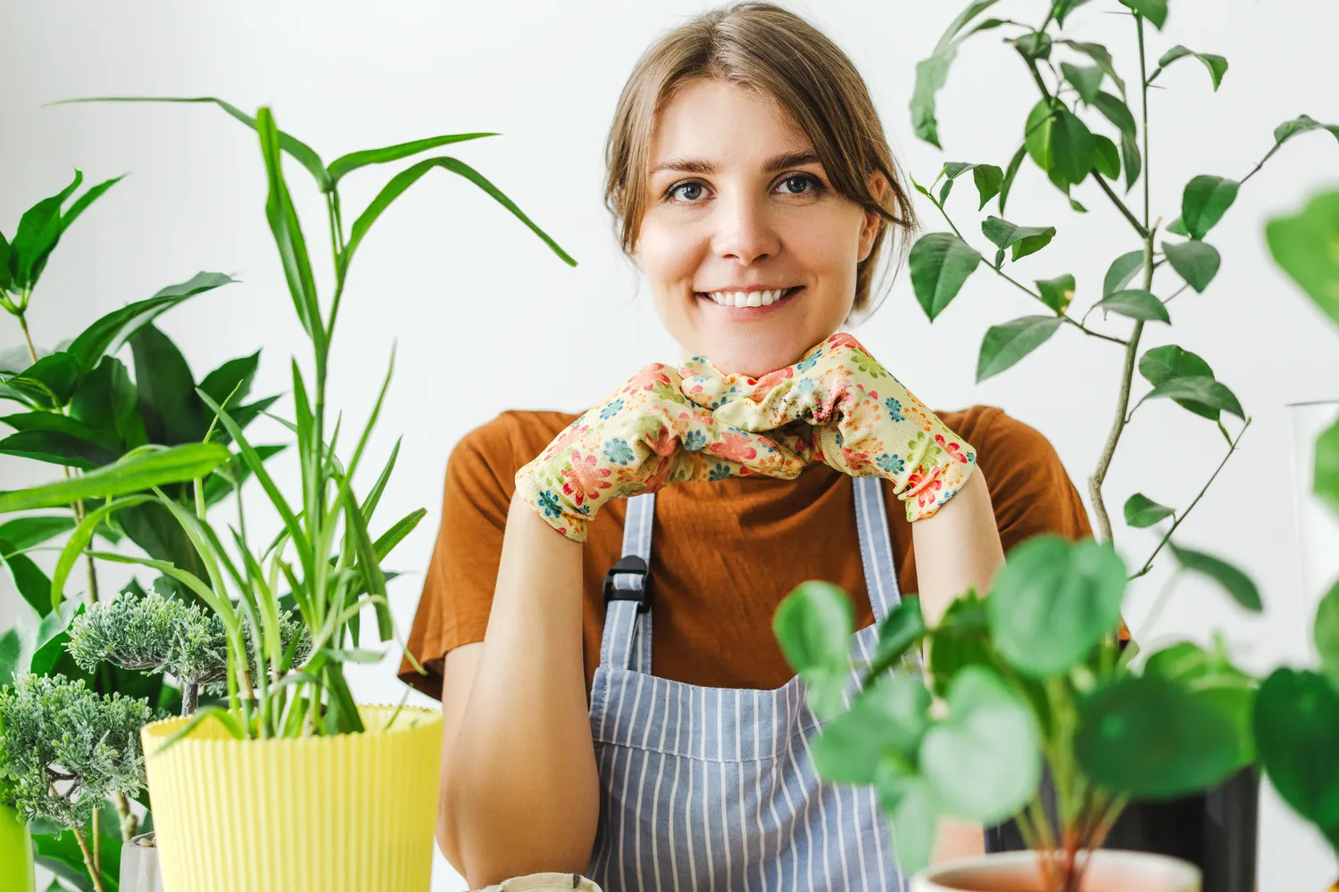 Pavasarį būtina tinkamai rūpintis kambariniais augalais