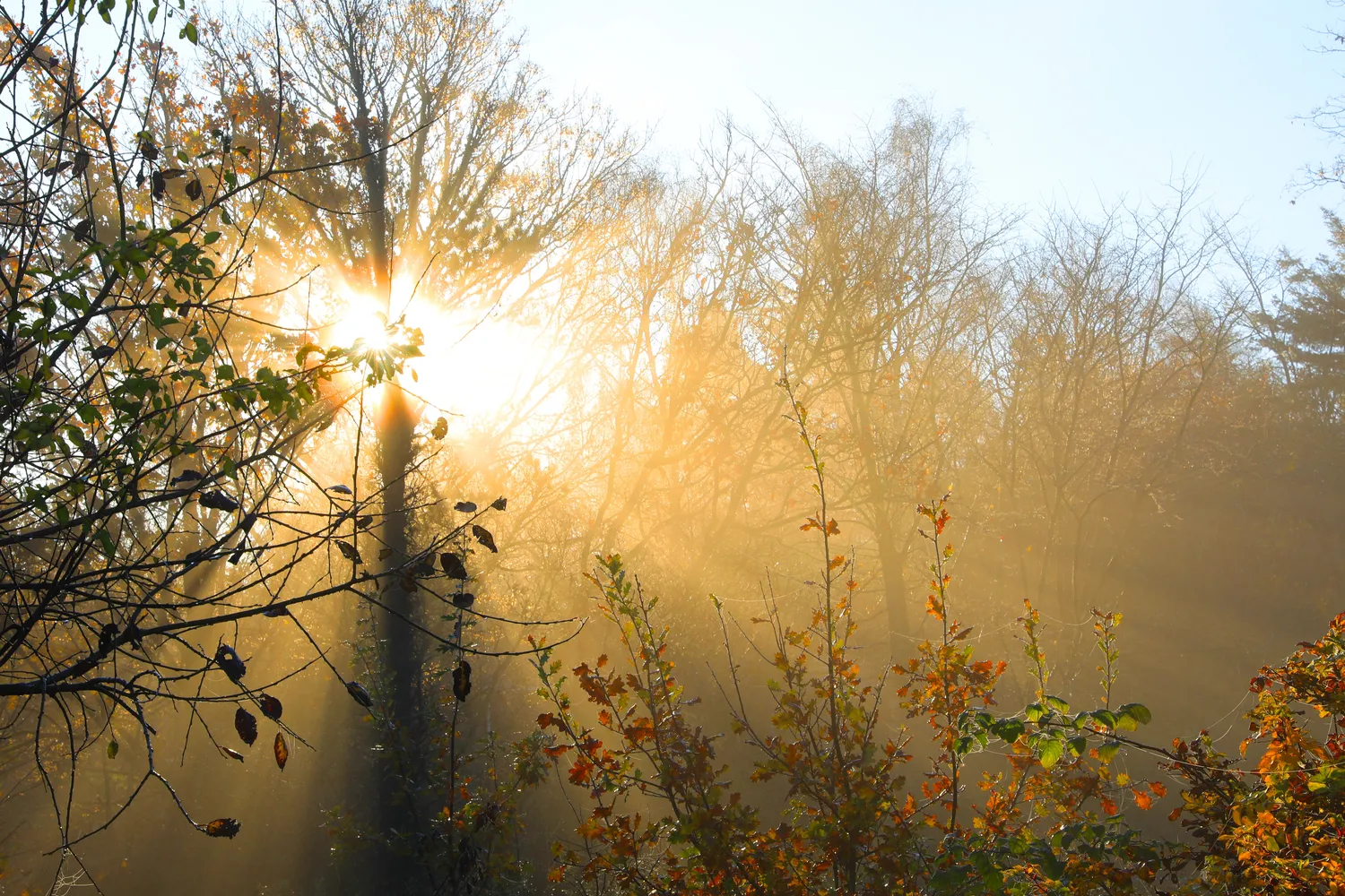Lapkričio darbai sode