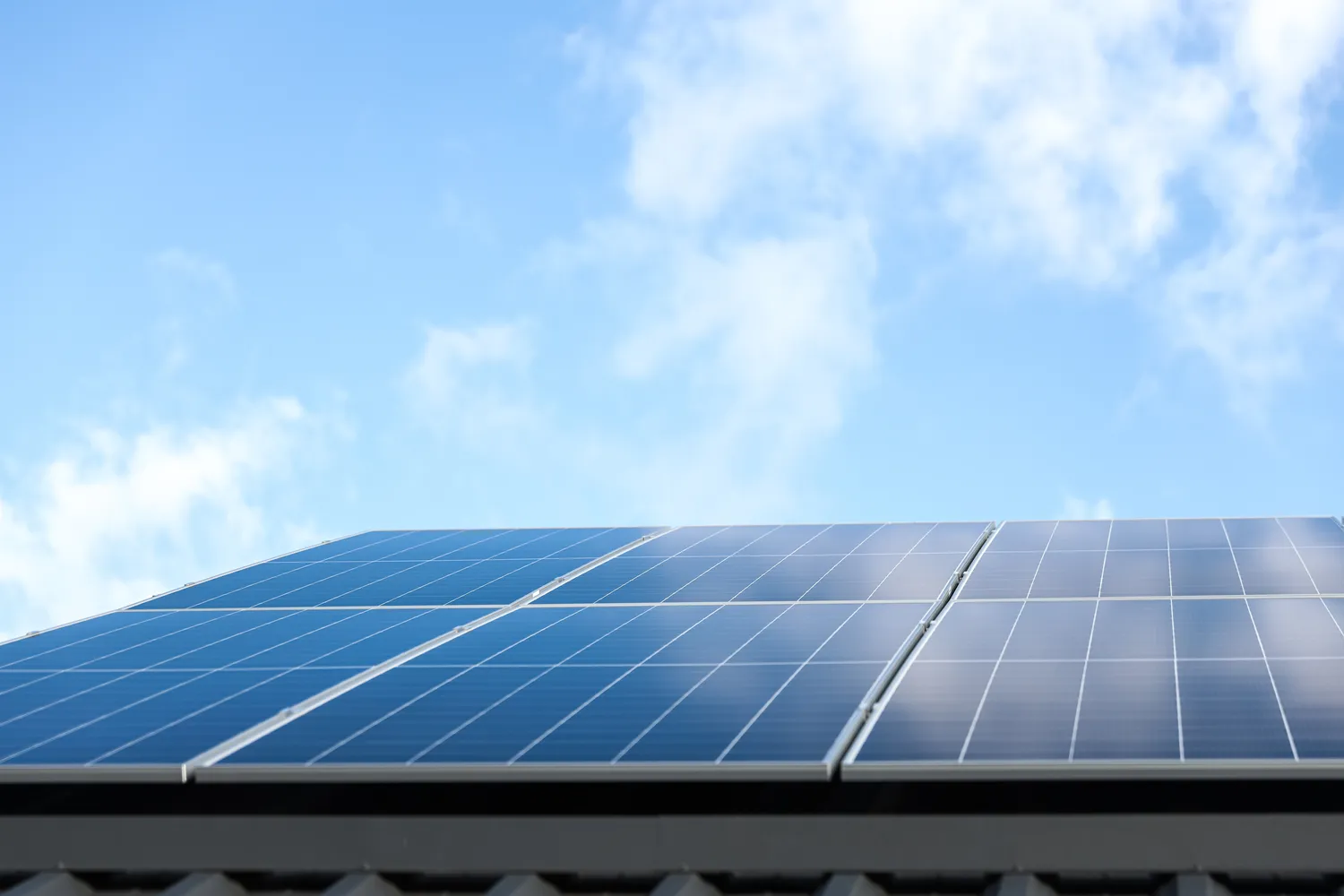 Saulės panelės ant namo stogo