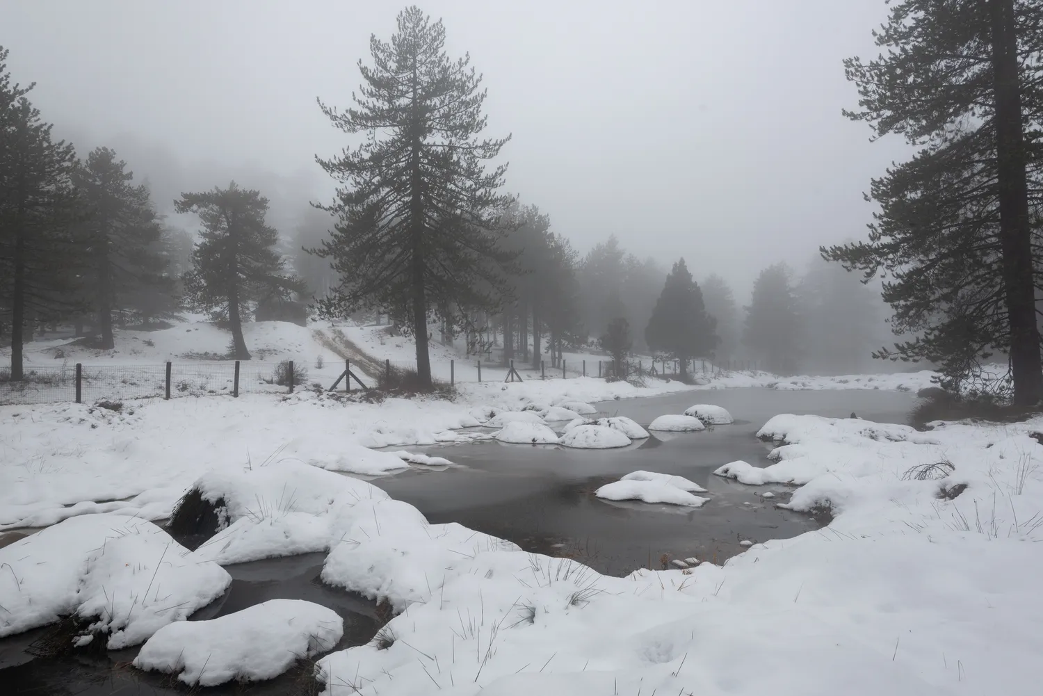 Žiema niekur "nepabėgs"