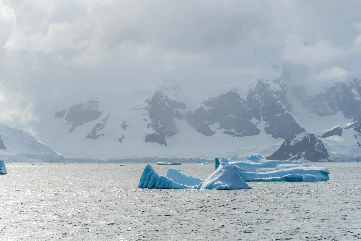 Antarktidos pasaulis