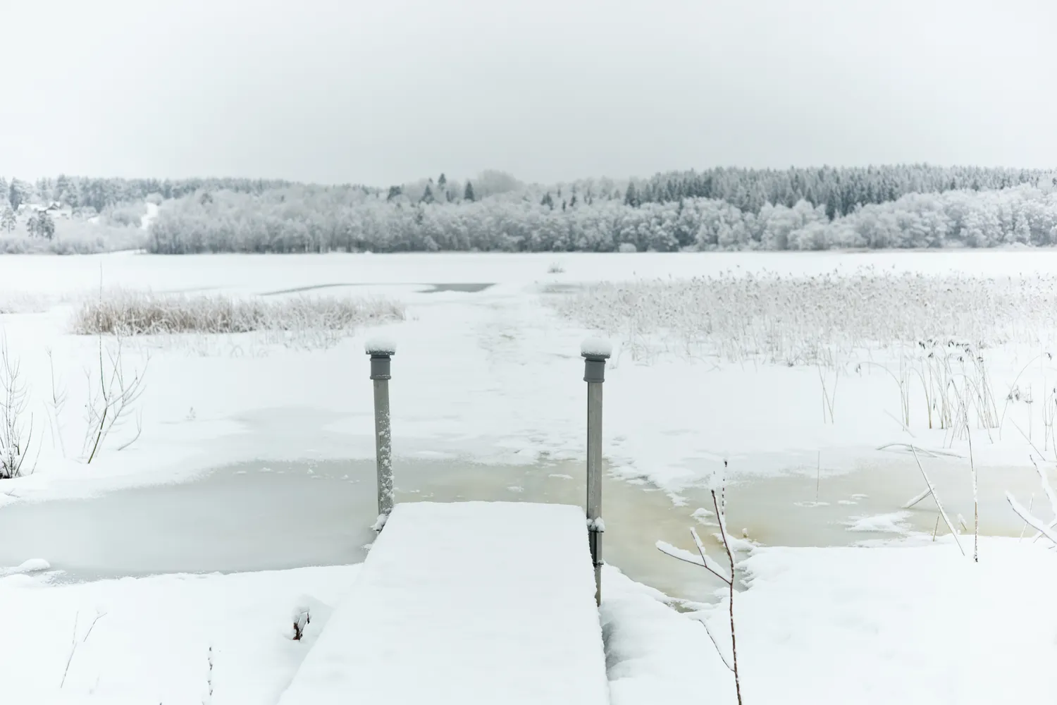 Lietuvoje vėl porcija sniego