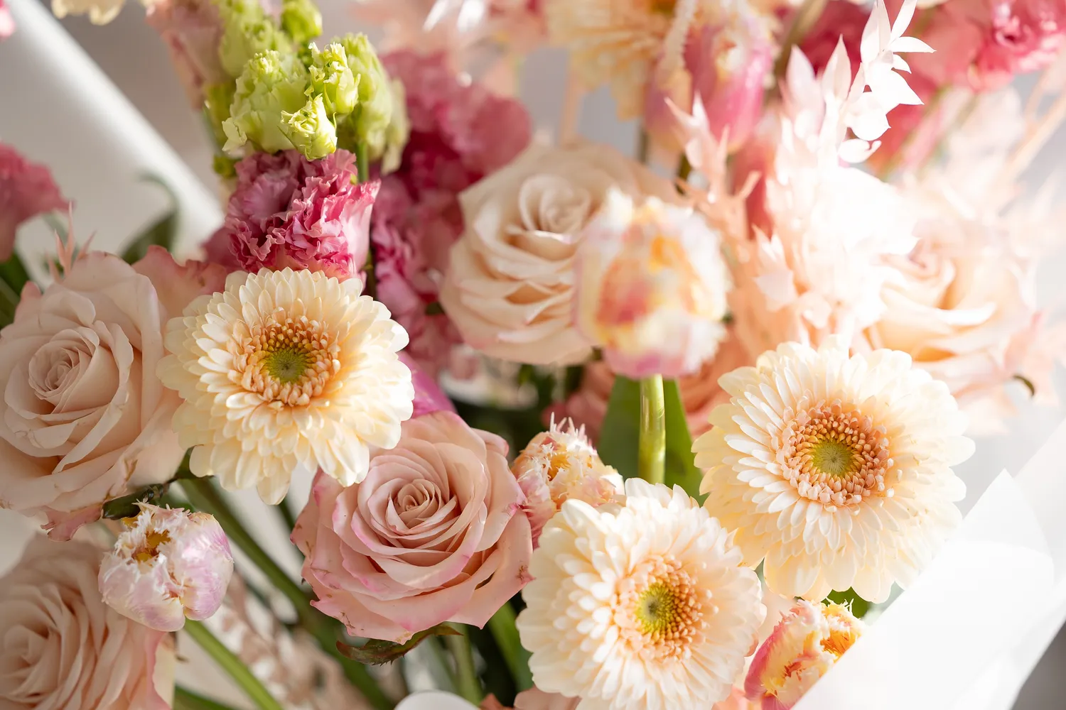 Kuo patalpa vėsesnė, tuo puokštė išsilaikys ilgiau