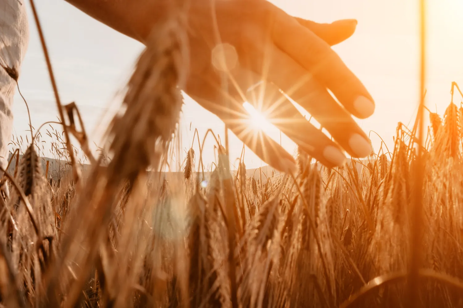 Meilė be stabdžių