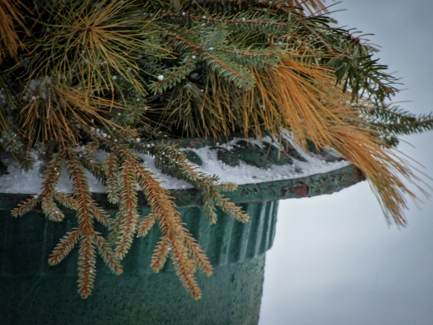 Ko nedaryti sode žiemą?
