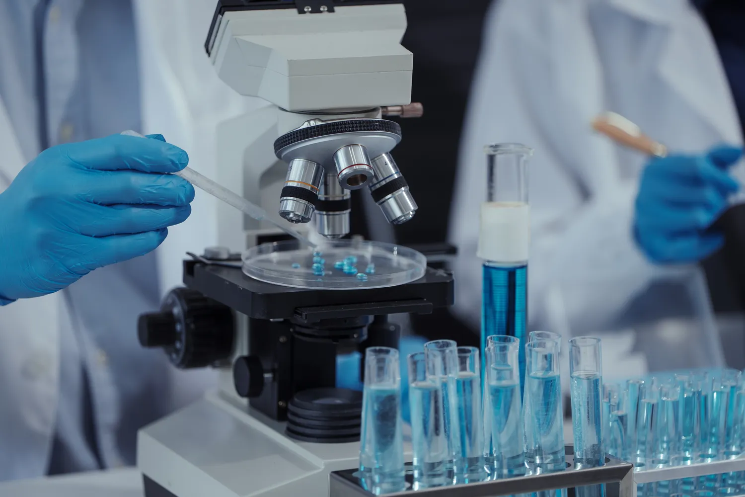 Moterų ir vyrų genetika