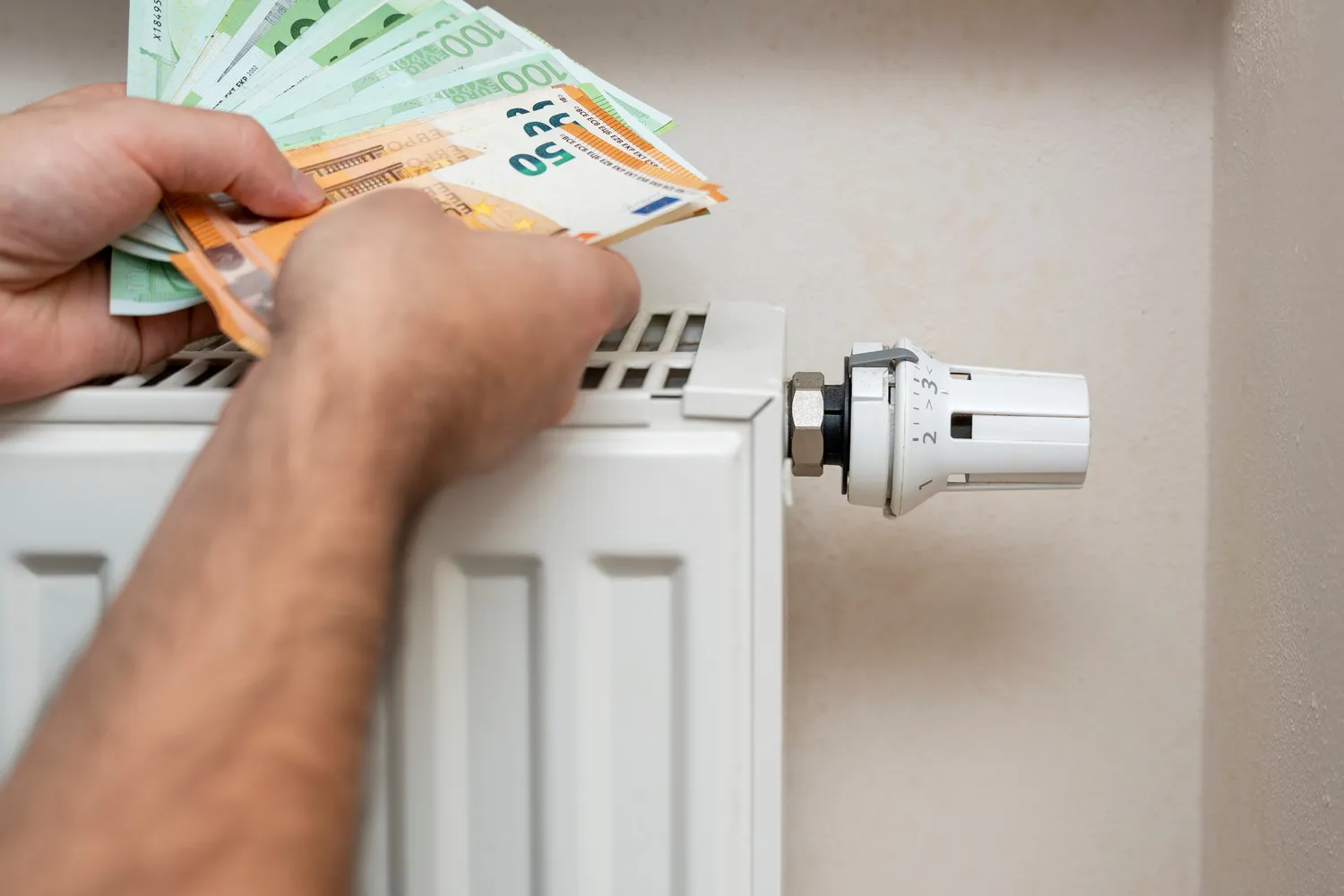 Šaltas sausis kirto per kišenę