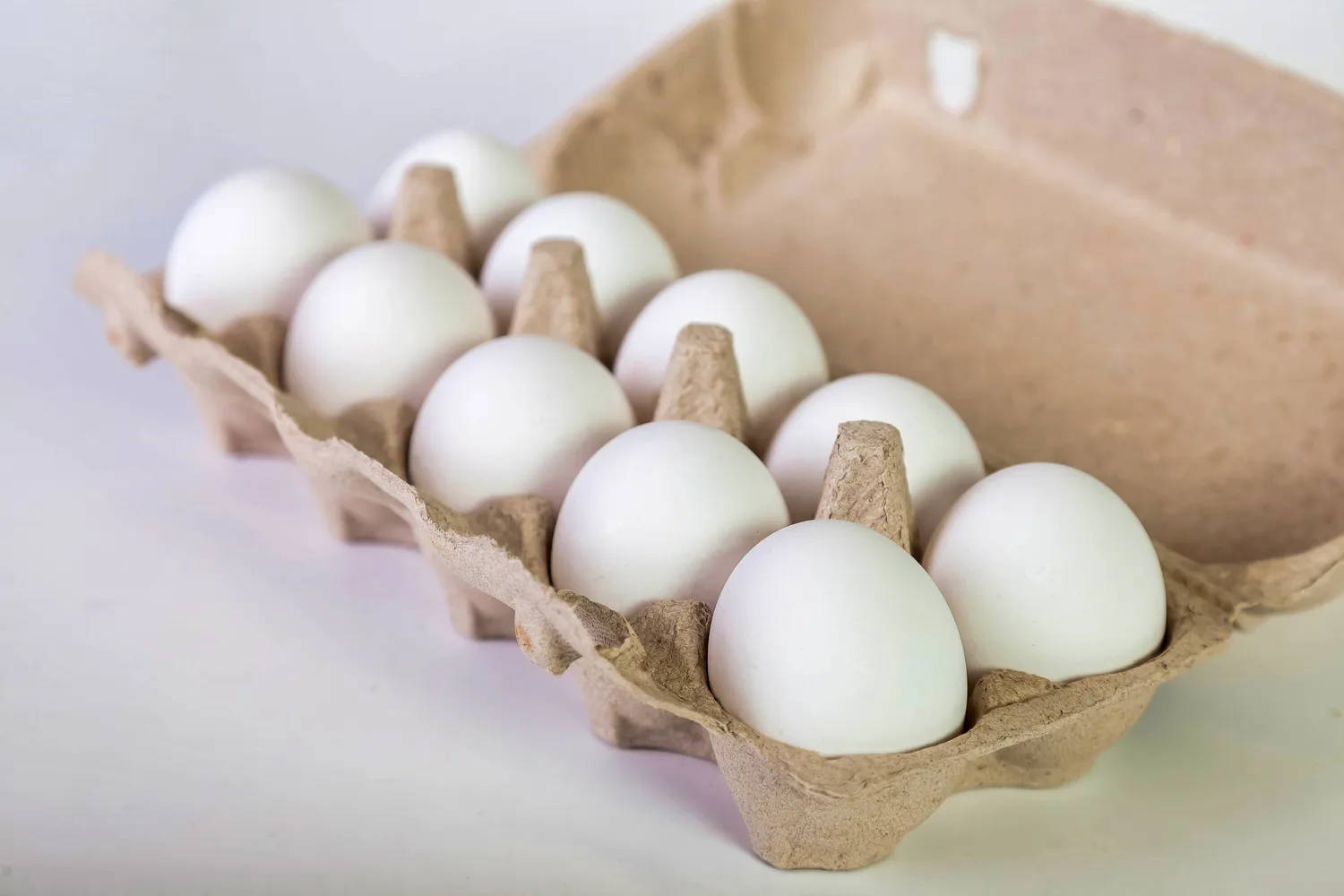 Kiaušinių dėžutės gali tapti salmonelių bomba