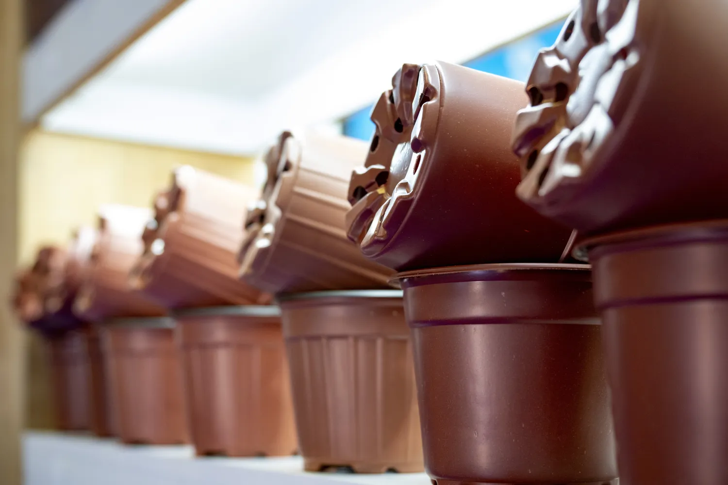 Vienkartiniai gėlių vazonai iš plastiko