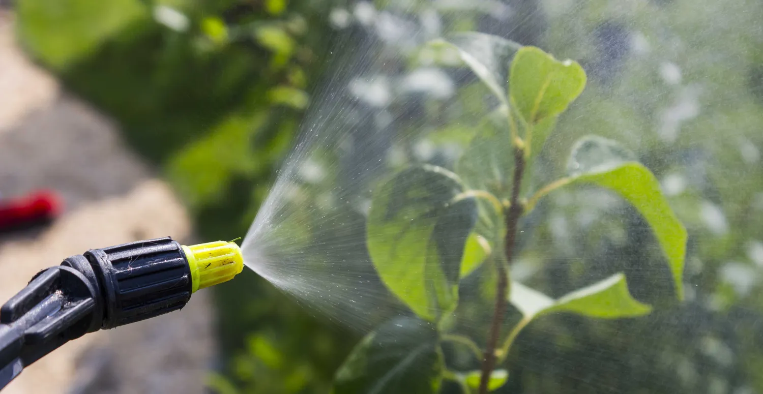 Jodo naudojimas darže